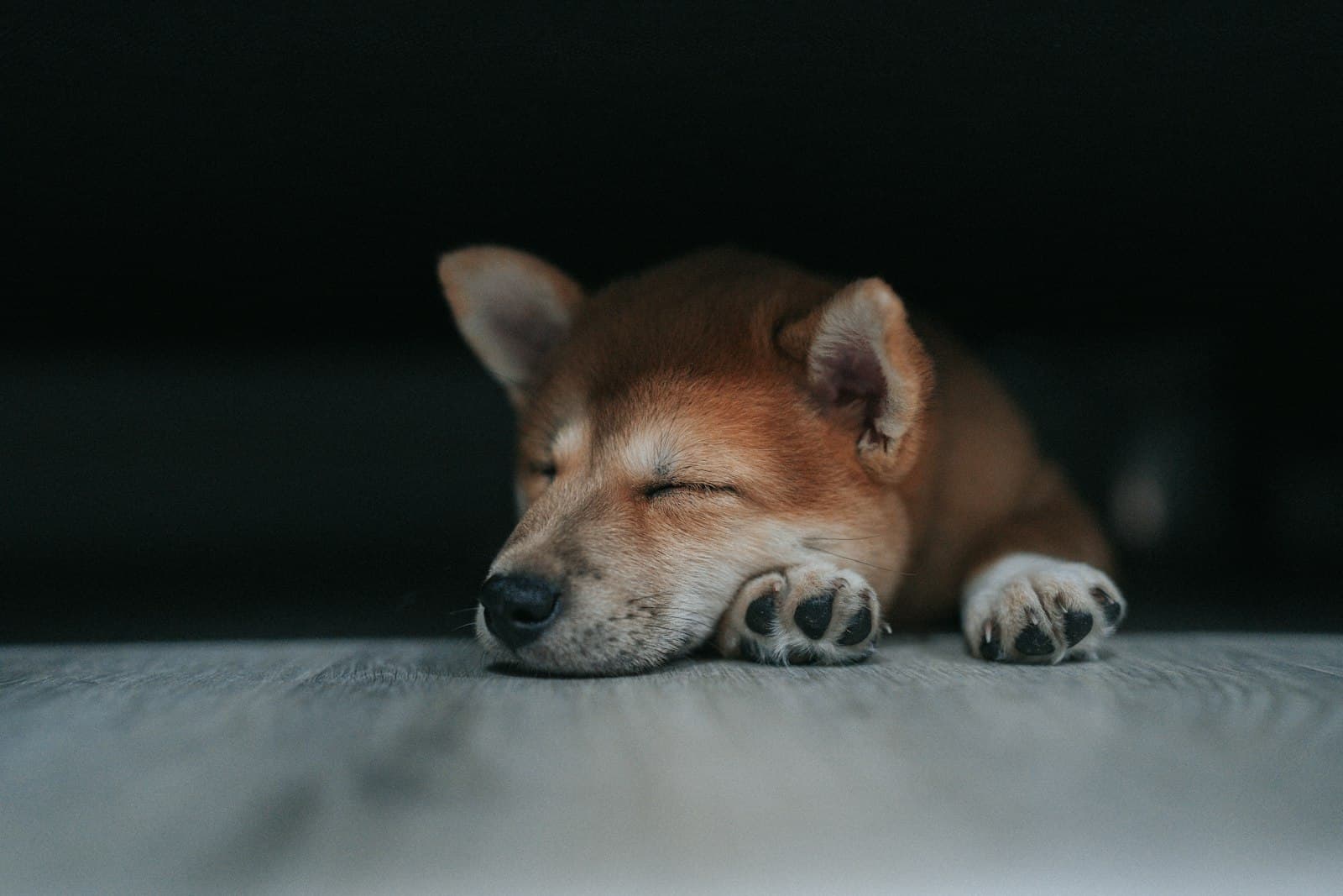 A Salesforce Admin's First GitHub Action: Keeping My Agentforce + Data Cloud Dev Org Alive — In My Sleep